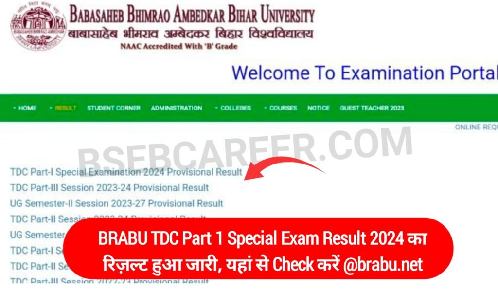 BRABU TDC Part 1 Special Exam Result 2025