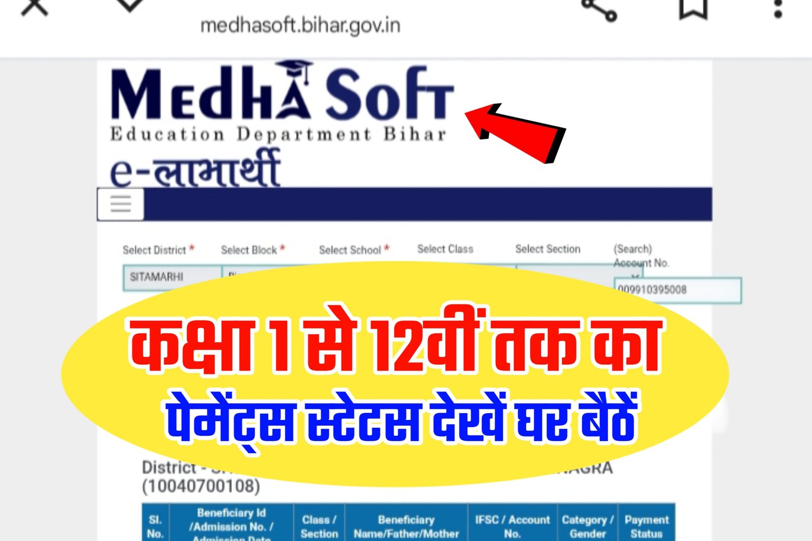 Medhasoft Payment Status