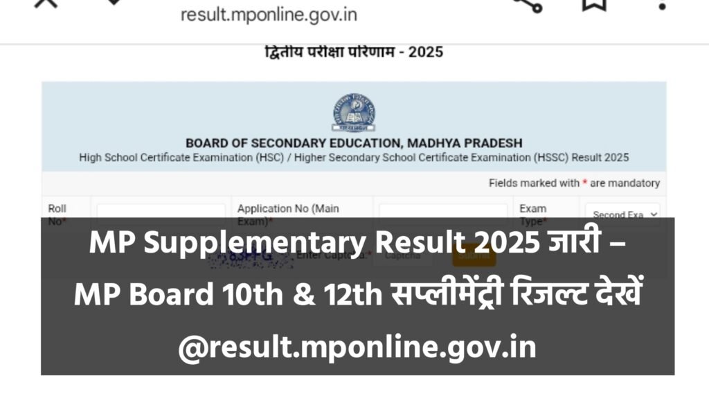 MP Supplementary Result 2025